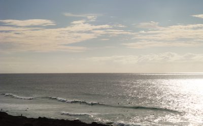 SUP Board Surf Fuerteventura