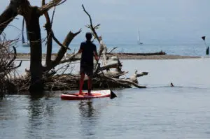 Glory Boards SUP kaufen