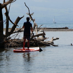 SUP Fishing – Angeln mit dem Stand up Paddle Board