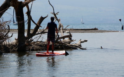 SUP Fishing – Angeln mit dem Stand up Paddle Board