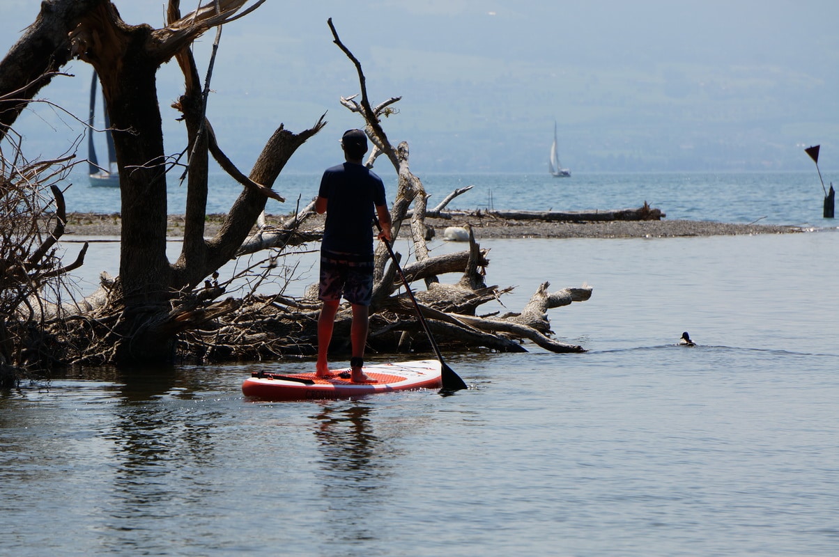 SUP Fishing Board - Angeln mit dem Stand up Paddle Board