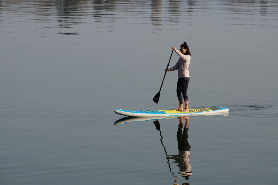 groms sup board